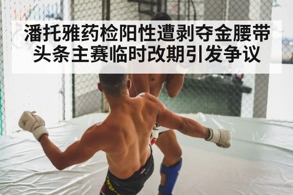 MMA fight