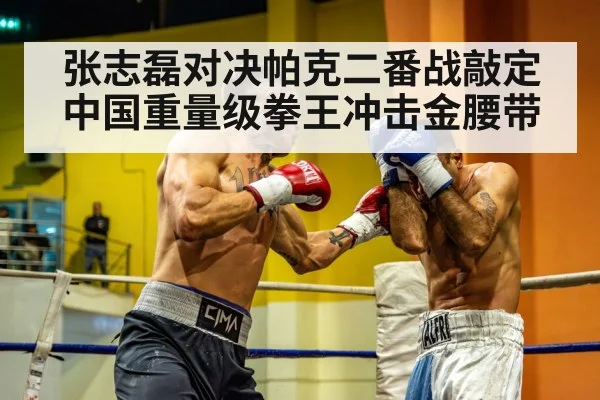 张志磊对决帕克二番战敲定中国重量级拳王冲击金腰带