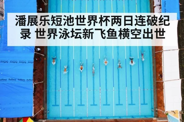 潘展乐短池世界杯两日连破纪录 世界泳坛新飞鱼横空出世